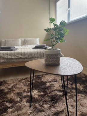 Garzon/ Studio apartment Šahy